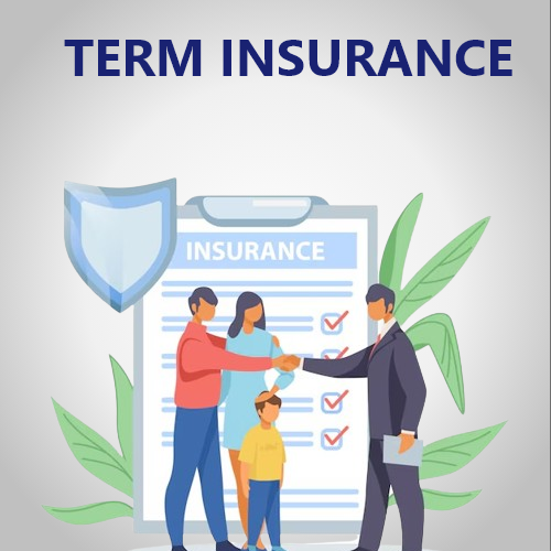 Term Insurance